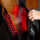 Therapiebeschermers Spronggewricht LED Red Light Therapy Therapiebeschermers Spronggewricht LED Red Light Therapy