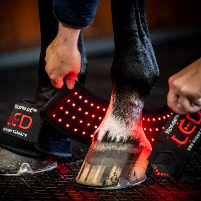 Springschoenen LED Red Light Therapy Zwart