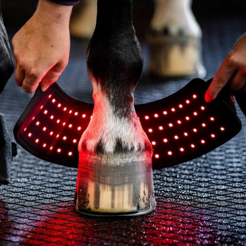 Springschoenen LED Red Light Therapy Zwart
