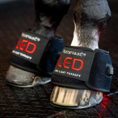 Springschoenen LED Red Light Therapy Zwart Springschoenen LED Red Light Therapy Zwart