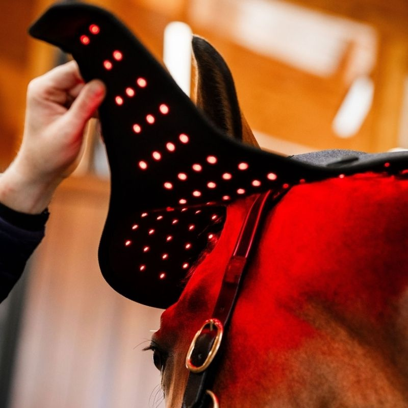 Therapiekap LED Red Light Therapy Zwart 