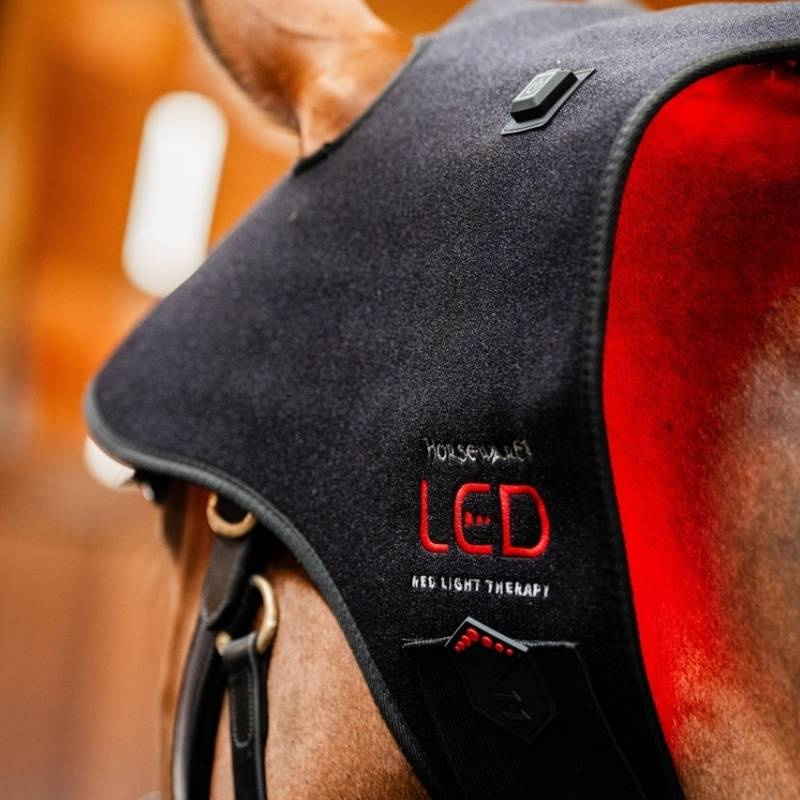 Therapiekap LED Red Light Therapy Zwart 