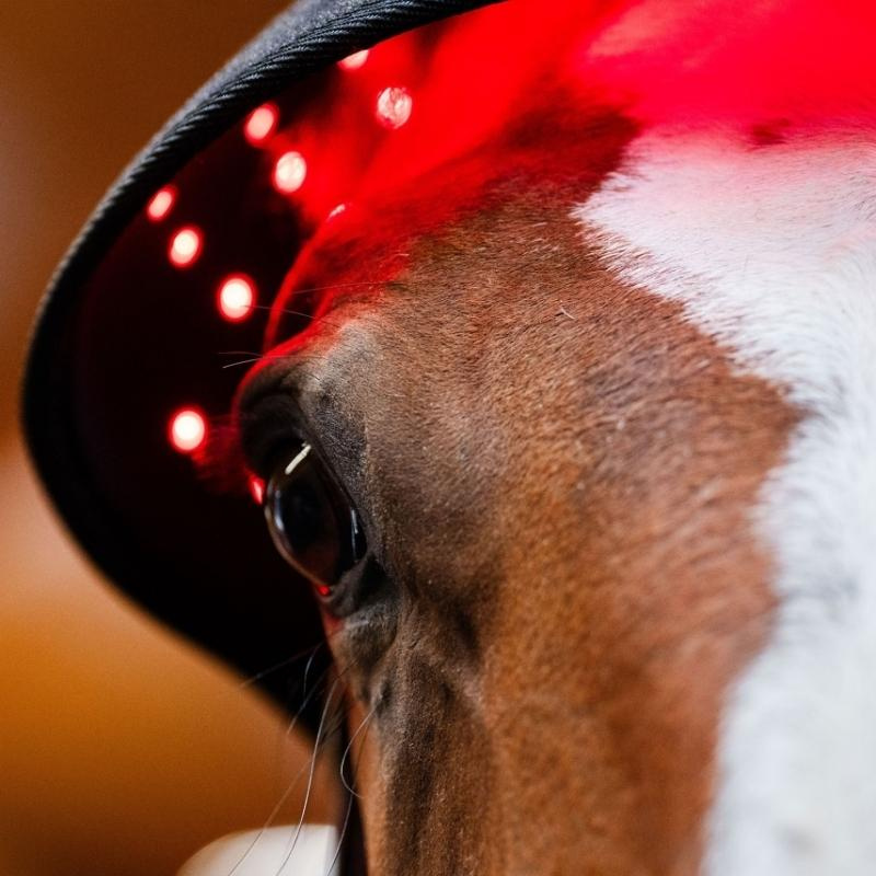 Therapiekap LED Red Light Therapy Zwart 