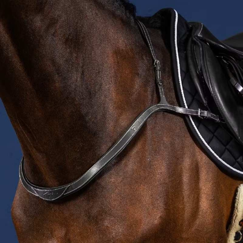 Borsttuig Collar US Collection Zwart