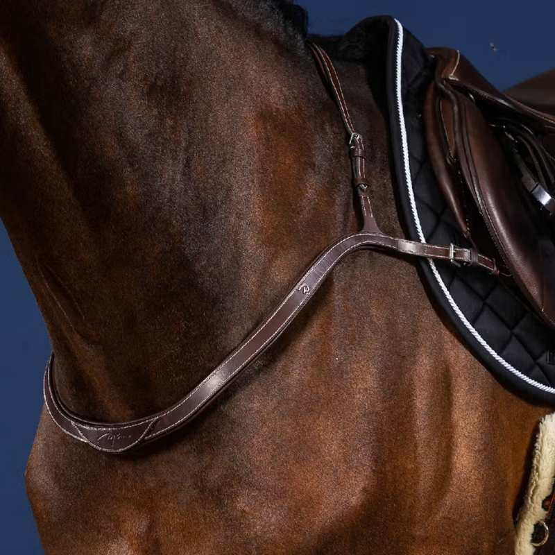 Borsttuig Collar US Collection Bruin