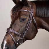Anatomisch Hoofdstel Gecombineerde Neusriem US Collection Bruin Anatomisch Hoofdstel Gecombineerde Neusriem US Collection Bruin