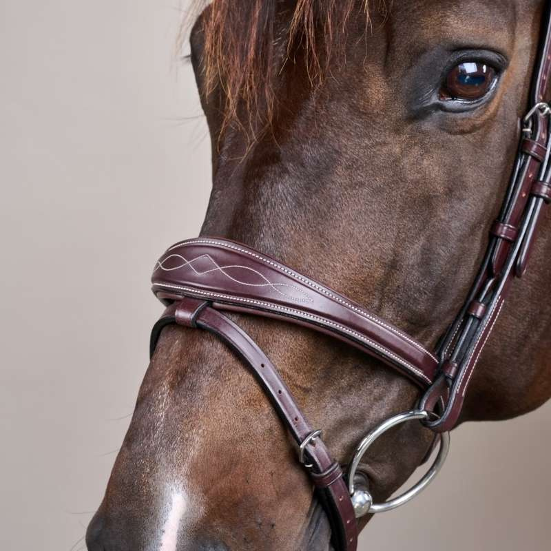 Anatomisch Hoofdstel Gecombineerde Neusriem US Collection Bruin