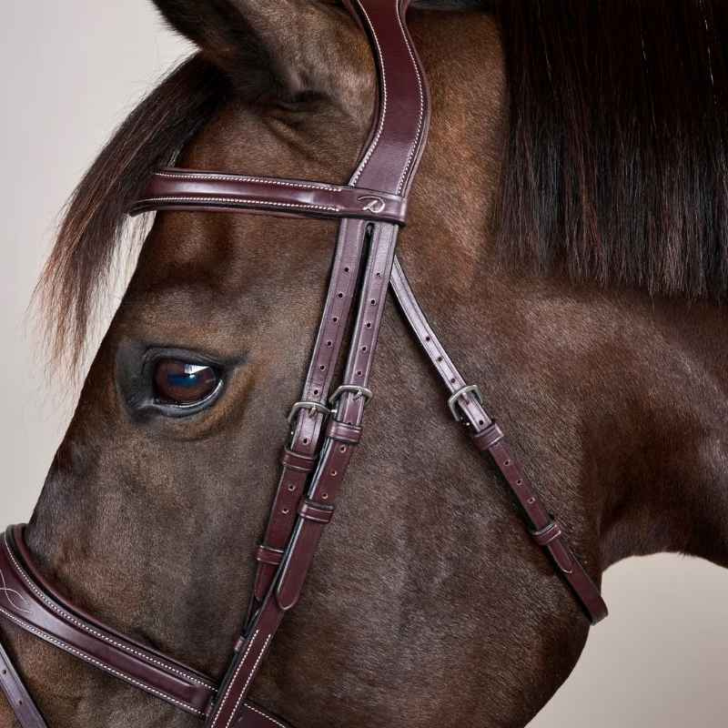 Anatomisch Hoofdstel Gecombineerde Neusriem US Collection Bruin