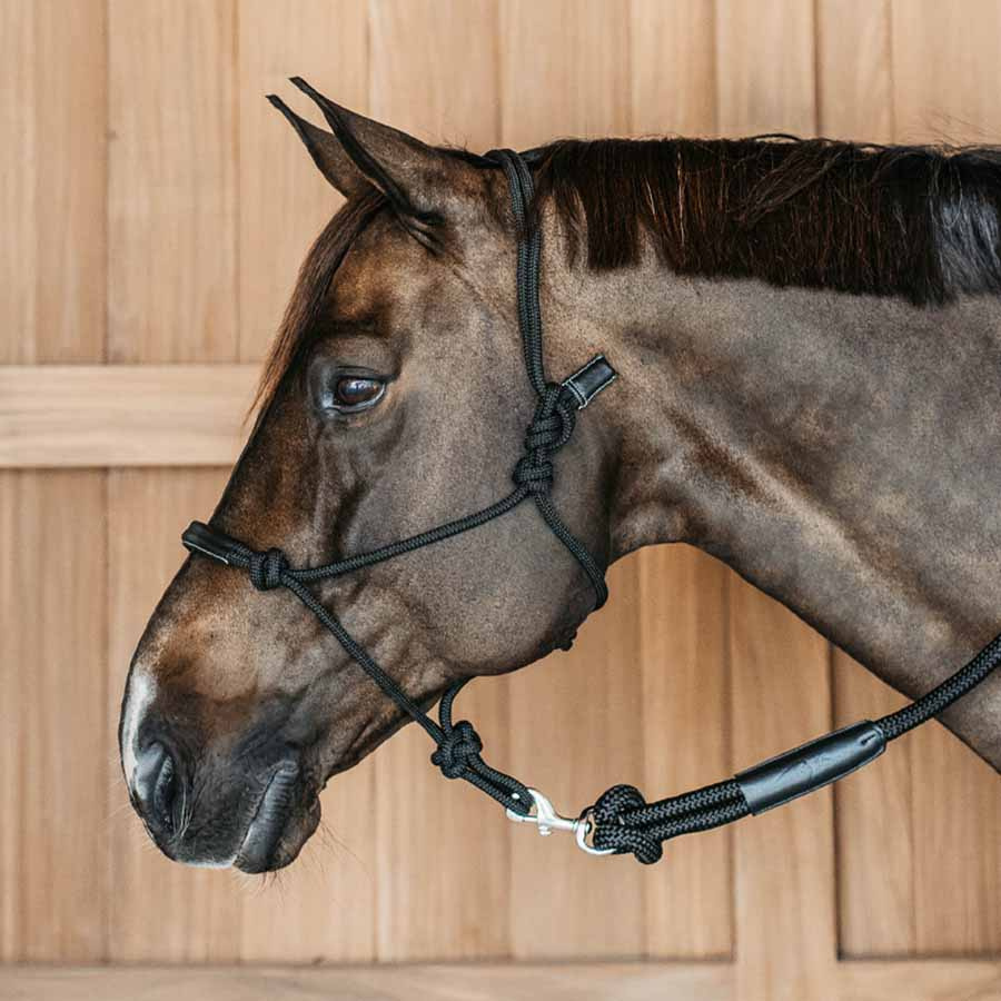 Touwhalster Training WBD Zwart