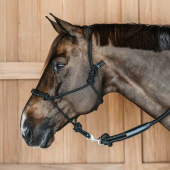 Touwhalster Training WBD Zwart Touwhalster Training WBD Zwart