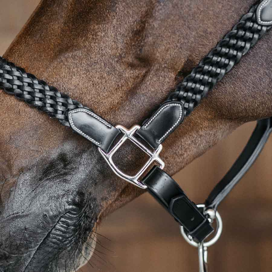 Leren halster Plaited WBD Zwart