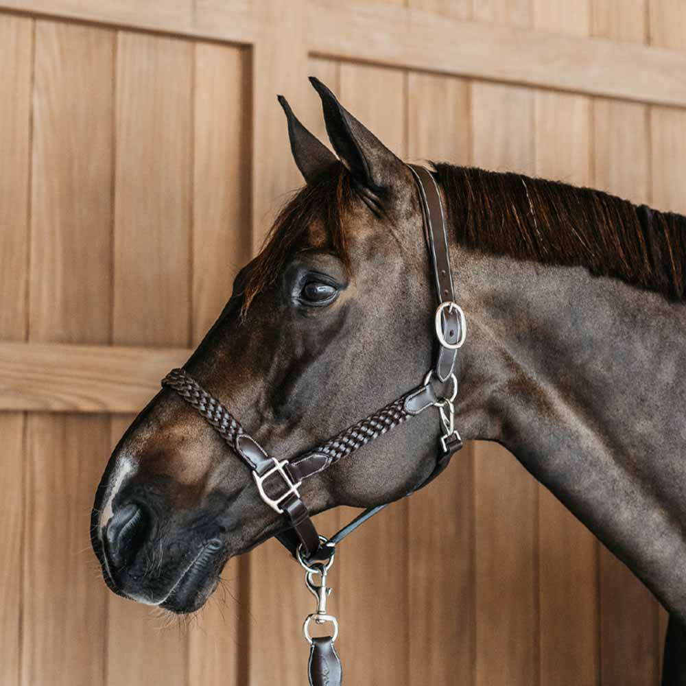 Leren halster Plaited WBD Bruin