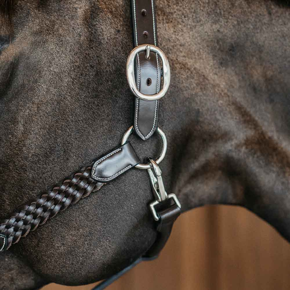 Leren halster Plaited WBD Bruin