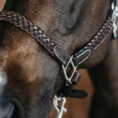 Leren halster Plaited WBD Bruin Leren halster Plaited WBD Bruin