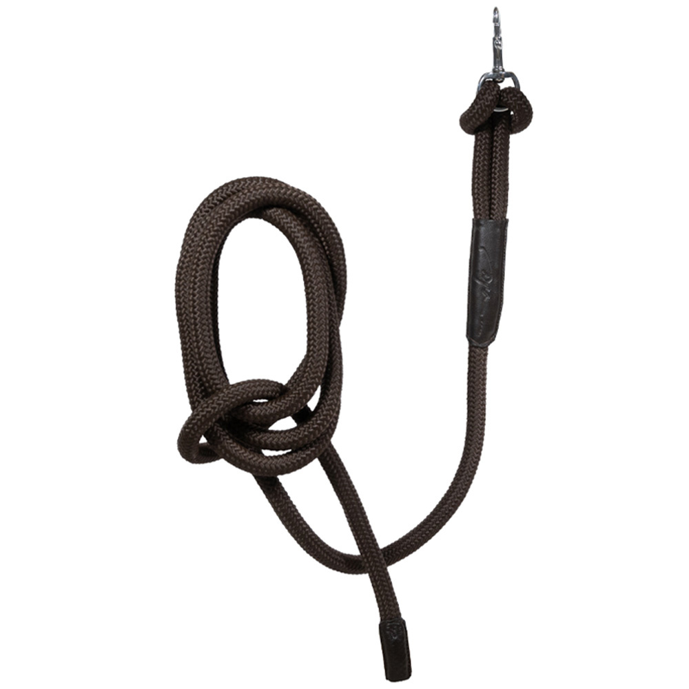Halster Training Removable Snap WBD Bruin