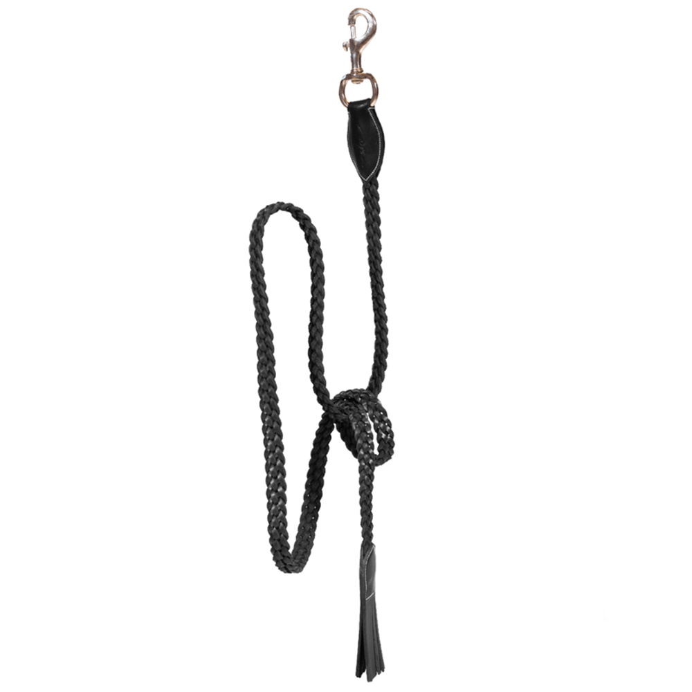 Leren halster Plaited WBD Zwart