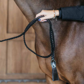 Leren halster Plaited WBD Zwart Leren halster Plaited WBD Zwart