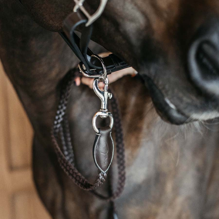 Leren halster Plaited WBD Bruin