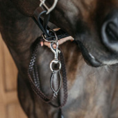 Leren halster Plaited WBD Bruin Leren halster Plaited WBD Bruin