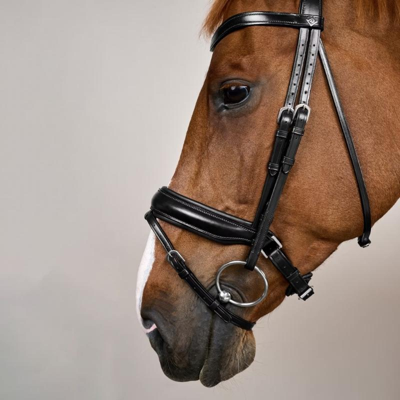 Dressuurhoofdstel Mat WC Zwart