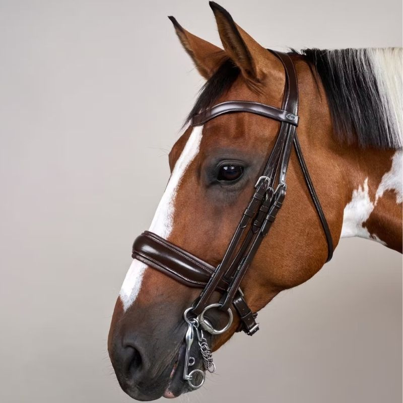 Kandarhoofdstel Mat Working Collection Bruin