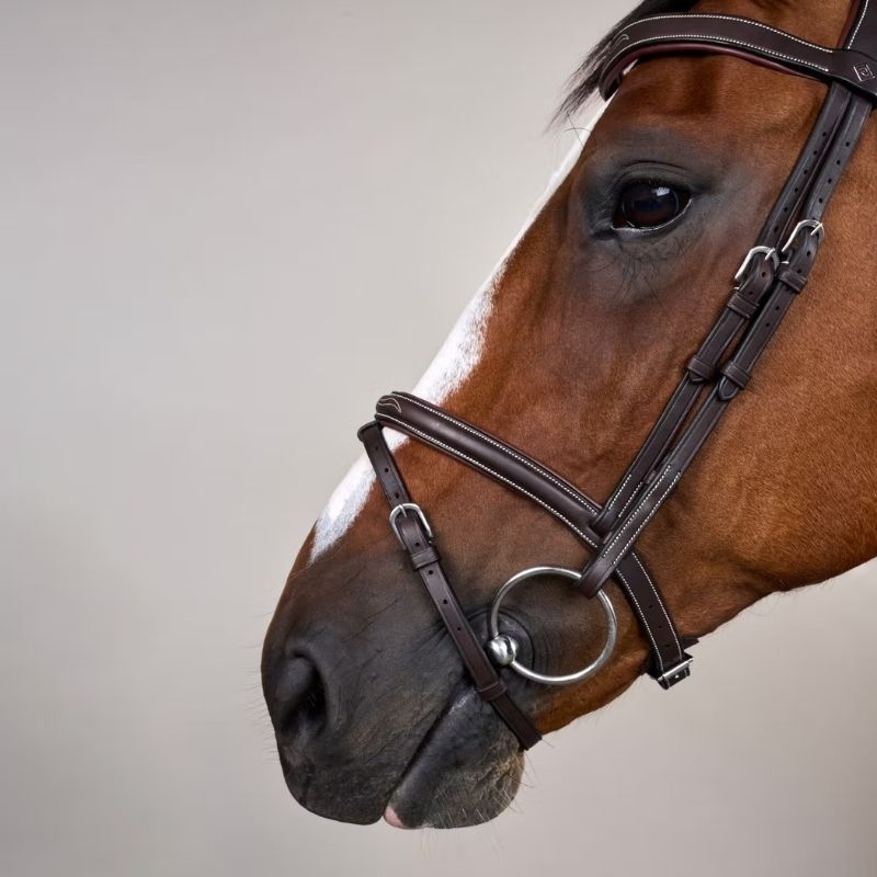 Hoofdstel Gecombineerde Neusriem WC Bruin