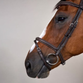 Hoofdstel Gecombineerde Neusriem WC Bruin Hoofdstel Gecombineerde Neusriem WC Bruin