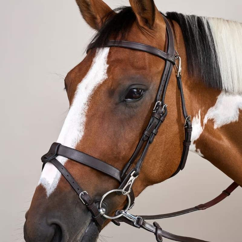 Hoofdstel Gladde Neusriem WC Bruin