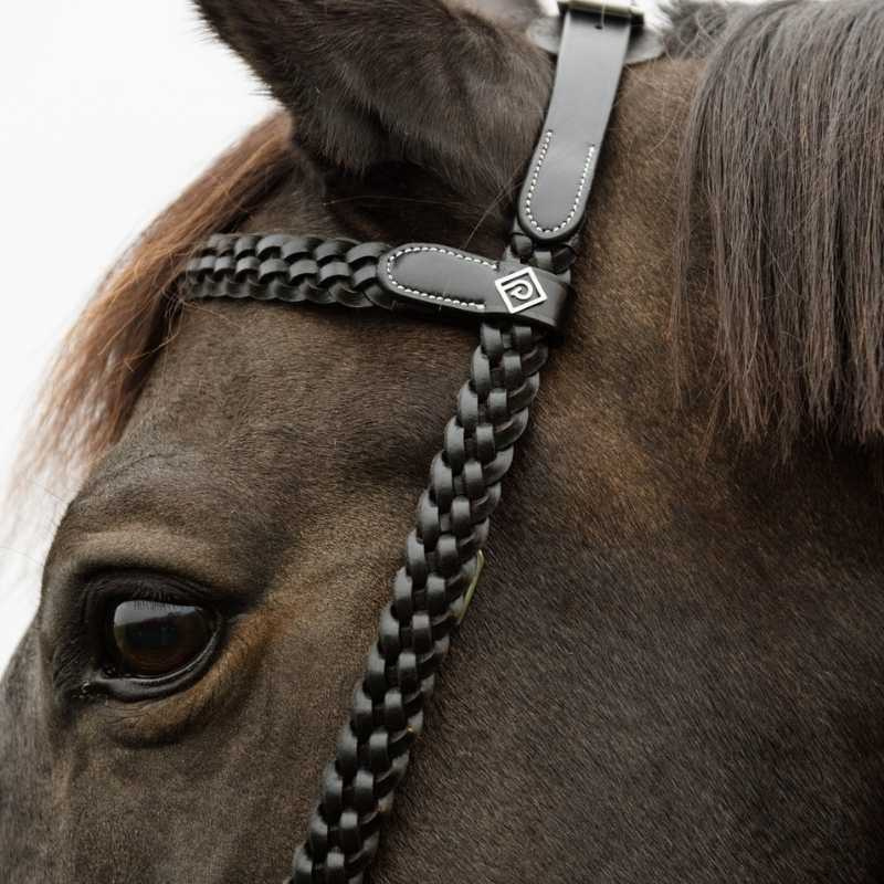 Hoofdstel Plaited Training Working Collection Zwart