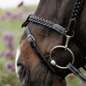 Hoofdstel Plaited Training Working Collection Zwart Hoofdstel Plaited Training Working Collection Zwart
