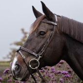 Hoofdstel Plaited Training Working Collection Bruin Hoofdstel Plaited Training Working Collection Bruin
