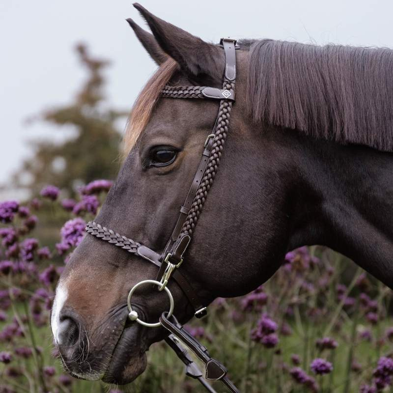 Hoofdstel Plaited Training Working Collection Bruin