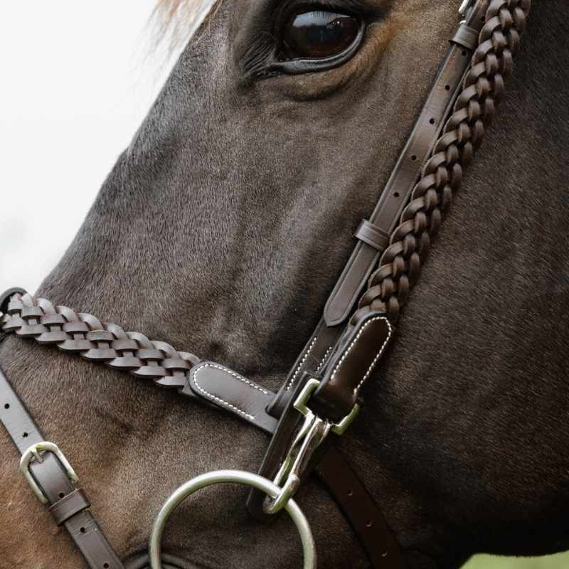 Hoofdstel Plaited Training Working Collection Bruin